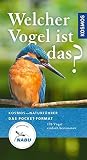 Welcher Vogel ist das?: 170 Vögel einfach bestimmen Welcher Vogel ist das?: 170 Vögel einfach bestimmen