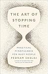 Art Of Stopping Time