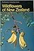 Wild Flowers of New Zealand by Hugh Wilson