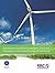 NEBOSH Certificate in Envir...