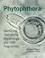 Phytophthora: Identifying Species by Morphology and DNA Fingerprints