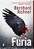Furia (Brünhilde Blum, #3)