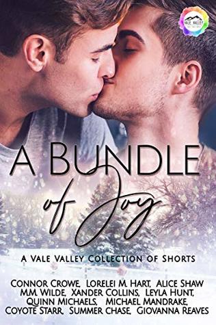 A Bundle of Joy (Vale Valley Season One, #12)