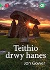 Cyfres Amdani: Teithio drwy Hanes (Welsh Edition)