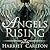 Angels Rising (Angels Rising Book 1)
