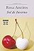 Sol de Inverno (EDICIÓN LITERARIA - NARRATIVA E-book) (Galician Edition)