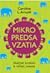 Mikropredsavzatia Malými krokmi k veľkej zmene