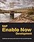 SAP Enable Now Development by Dirk Manuel