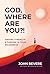 God, Where Are You?! by John Bevere