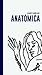 Anatómica