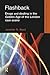 Flashback: Drugs and Dealing in the Golden Age of the London Rave Scene (Routledge Advances in Ethnography)