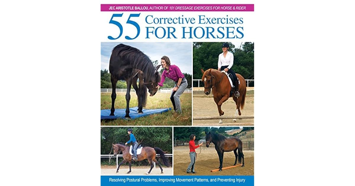 55 Corrective Exercises for Horses Resolving Postural Problems