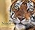 Noor Queen of Ranthambhore