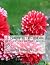 A Practical Treatise on the Culture of the Dahlia by Roger Chambers