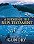 A Survey of the New Testament Video Lectures: A Complete Course for the Beginner