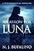 An Arrow for Luna