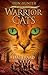 Dageraad (Warrior Cats De nieuwe profetie) by Erin Hunter