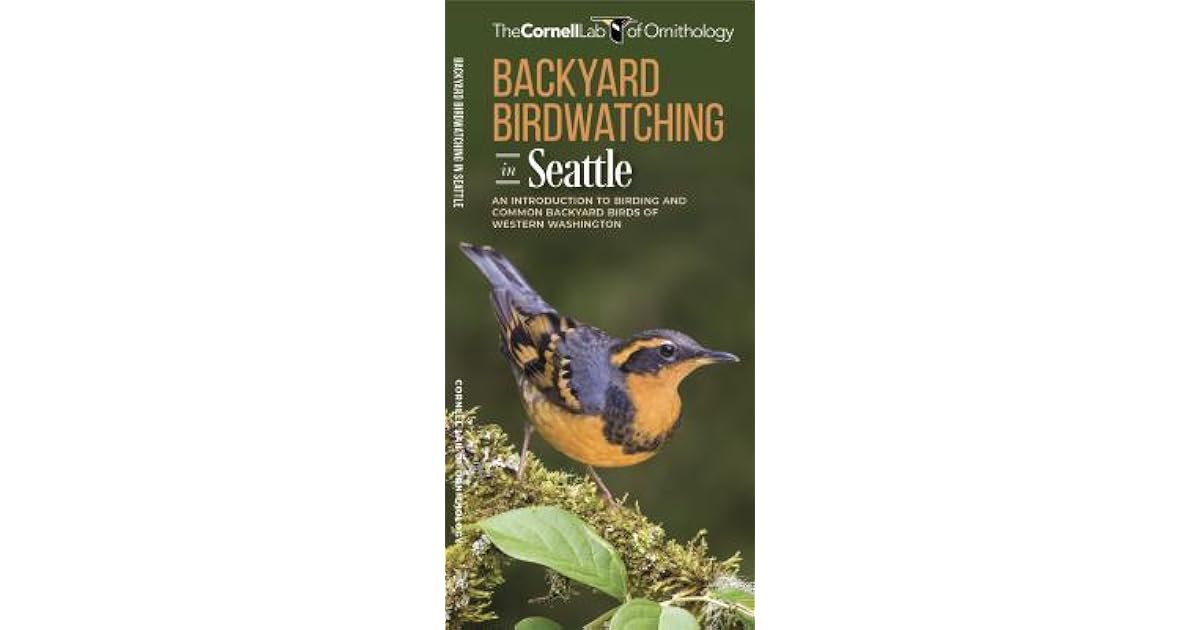 Backyard Birdwatching in Seattle An Introduction to Birding and Common