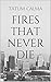 Fires That Never Die (Fires That Never Die Trilogy Book 1)