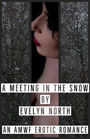 A Meeting in the Snow: An AMWF Erotic Romance