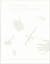 Preoccupations: Things Artists Do Anyway