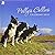 Polly's Collies Calendar 2019