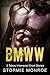 BMWW: 2 Taboo Interracial Short Stories