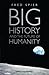 Big History and the Future of Humanity