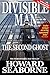 Divisible Man - The Second ...