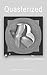 Quasterized (The Math-Art s...