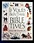 If You'd Been There in Bible Times by Stephanie Jeffs