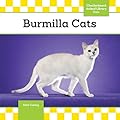 Burmilla Cats