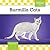 Burmilla Cats (Cats)