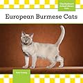 European Burmese Cats