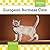 European Burmese Cats