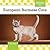 European Burmese Cats