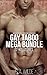 Gay Taboo Mega Bundle: 22 S...