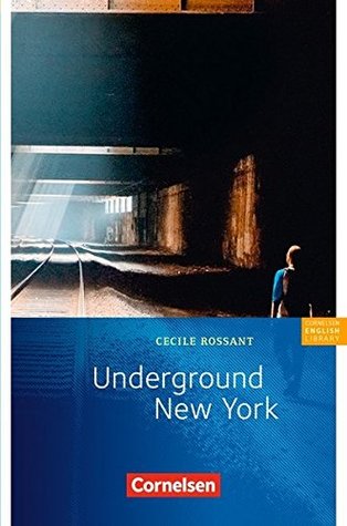 Underground New York (Paperback)