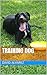 Training Dog (Animalcare Bo...