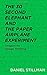 The 30 Second Elephant and the Paper Airplane Experiment: Origami for Design Thinking