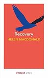 Recovery: Vintage Minis Book cover for Recovery: Vintage Minis