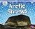 Arctic Shrews (Ice Age Animals)