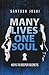 Many Lives One Soul by Santosh Joshi