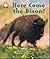 Here Come the Bison! (Sunsh...