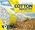 Inside the Cotton Industry (Big Business)