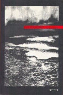 Desassombro (Paperback)