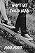 Won't Get Fooled Again: A YA Romance Novella