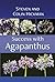 Success With Agapanthus