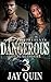 Dangerous 3, Loving a Gangs...