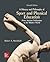 A History and Philosophy of Sport and Physical Education by Robert A. Mechikoff